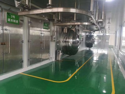 真空凍干機廠家講什么是冷凍干燥的過程 真空凍干機廠家講什么是冷凍干燥的過程
